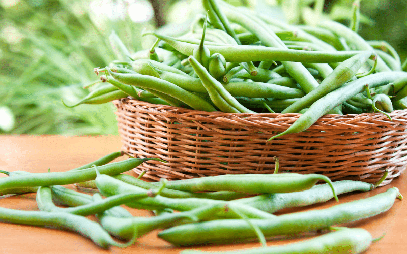 Green Beans- A Tasty, Low-Potassium Veggie