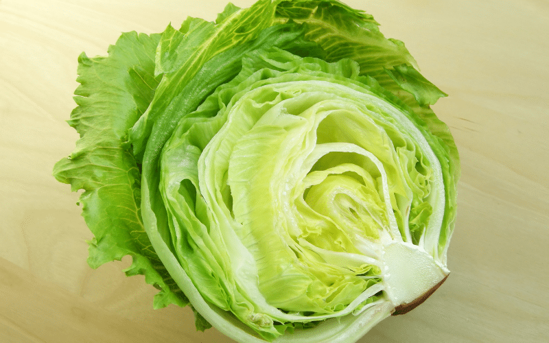 Lettuce- A Low-Potassium Foundation for Fresh Salads