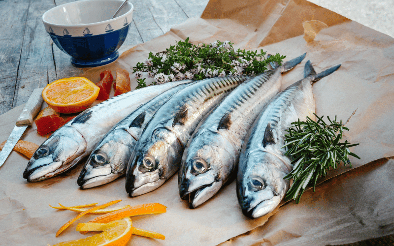 Mackerel- A Flavorful Fish Packed with Vitamin D