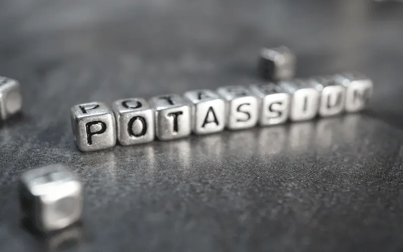 Navigating the Low-Potassium Diet Journey