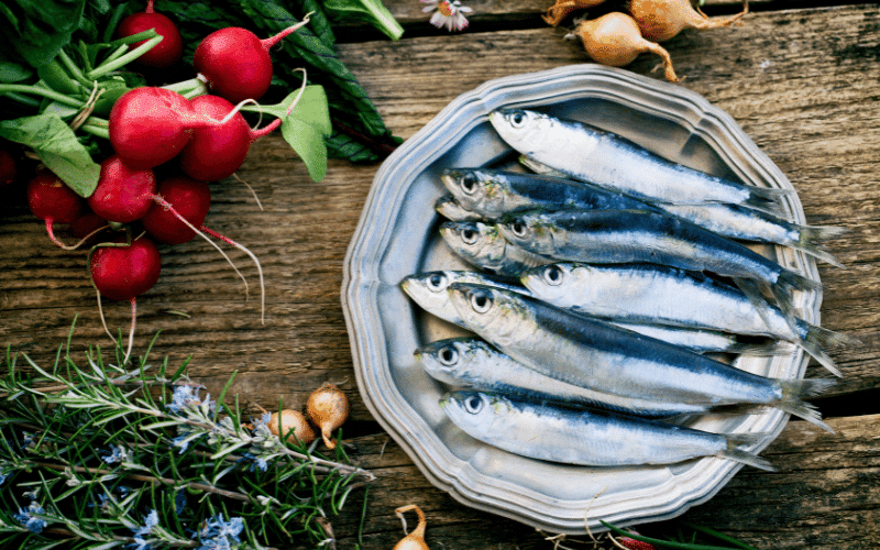 Sardines- A Tiny Fish with Impressive Vitamin D Content