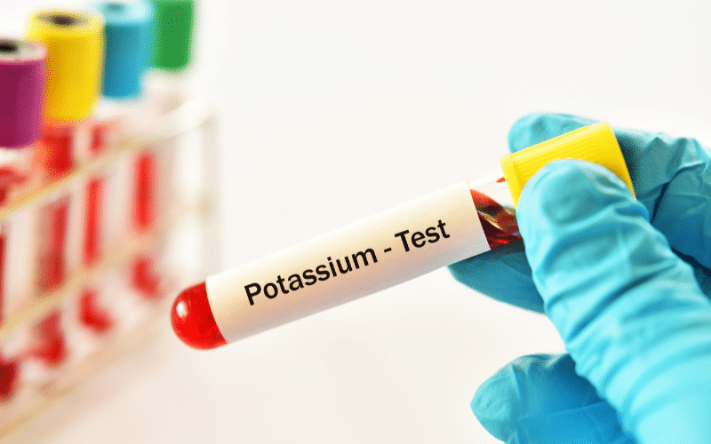 The Importance of Understanding Potassium Levels and Their Impact on Our Health