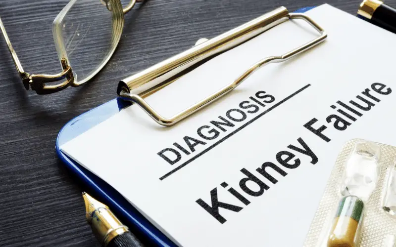 Understanding Kidney Failure and Its Impact on Your Well-being