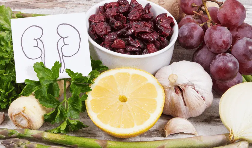 Top 20 Foods for Kidney Health Boost Your Renal Function Today!