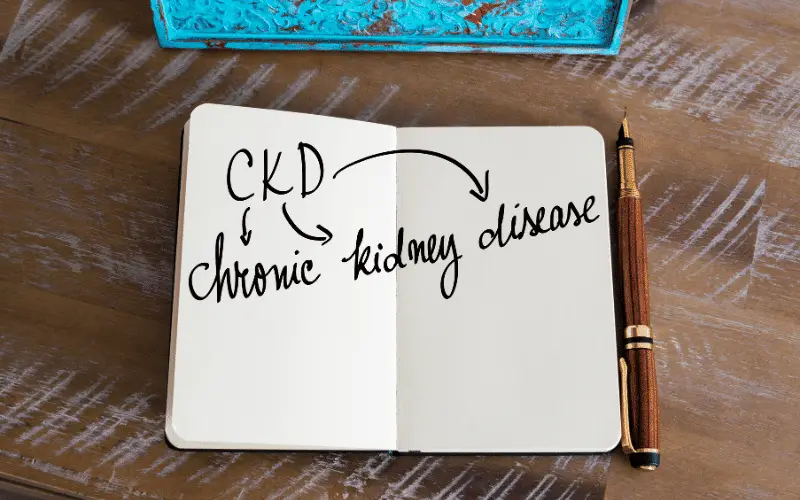 Understanding the 5 Stages of Chronic Kidney Disease An In-Depth Exploration