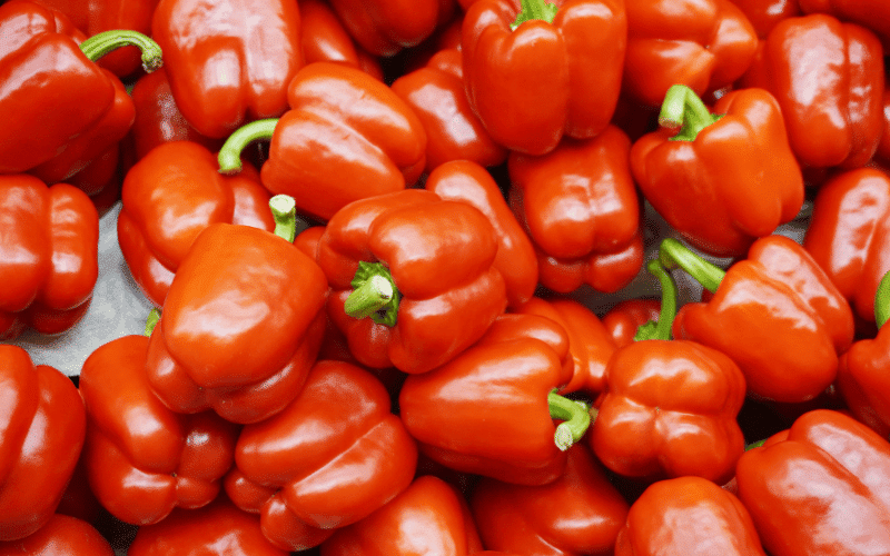 Bell Peppers  Savor the Flavor of a Kidney-Friendly Veggie