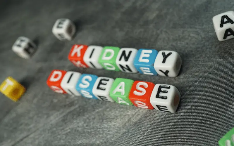 Kidney Diseases The Hidden Ties to Hyponatremia