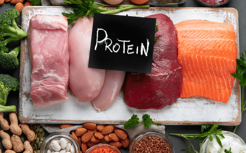 Protein Predicament Finding the Right Balance