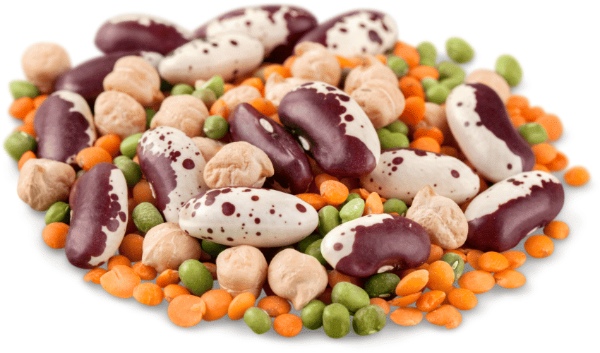 The Lurking Legumes Beans and Lentils - Friends or Foes