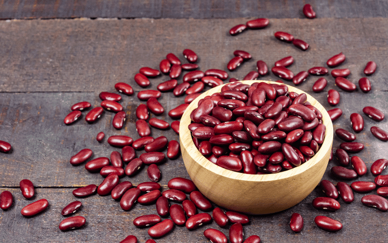 Kidney Beans The Irony in the Fight Against Kidney Stones