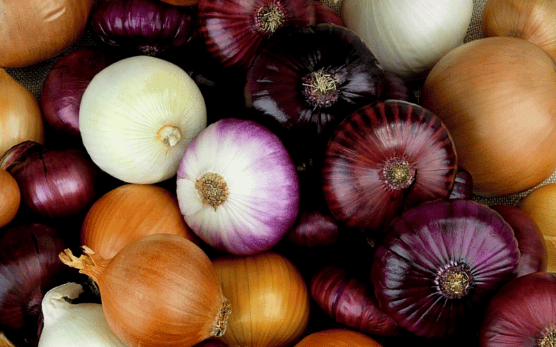 Onions Flavorful Allies for Kidney Health