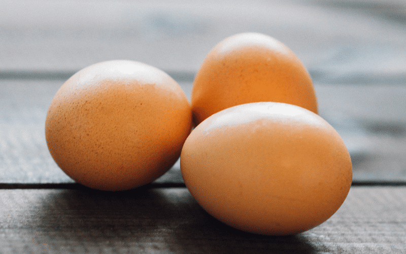 Eggs The Easy-to-Digest Protein for UC