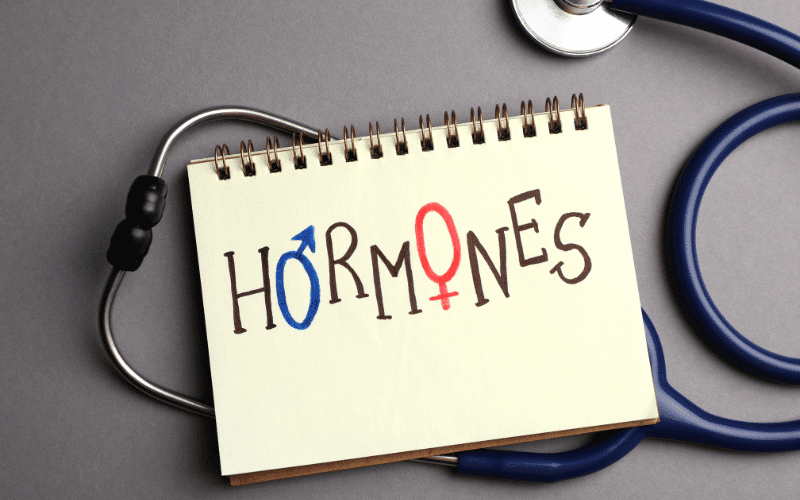 Hormonal Influence The Role of Sex Hormones