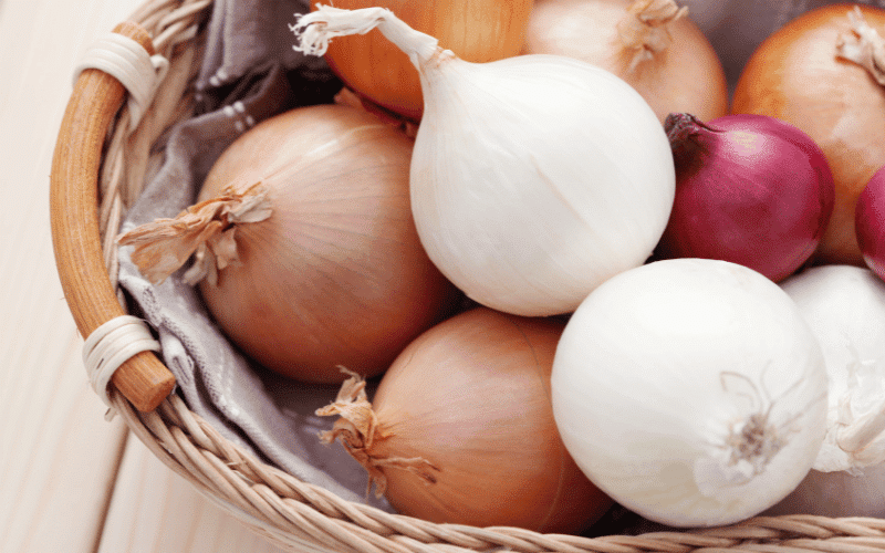 Onion The Flavorful, Kidney-Friendly Ingredient for Renal Diets