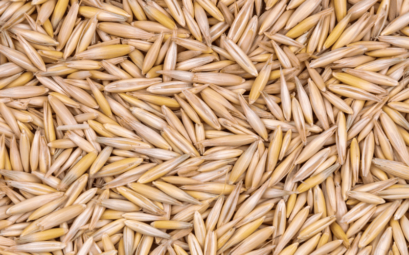 Refined Grains Roadblock Opting for Whole Grains