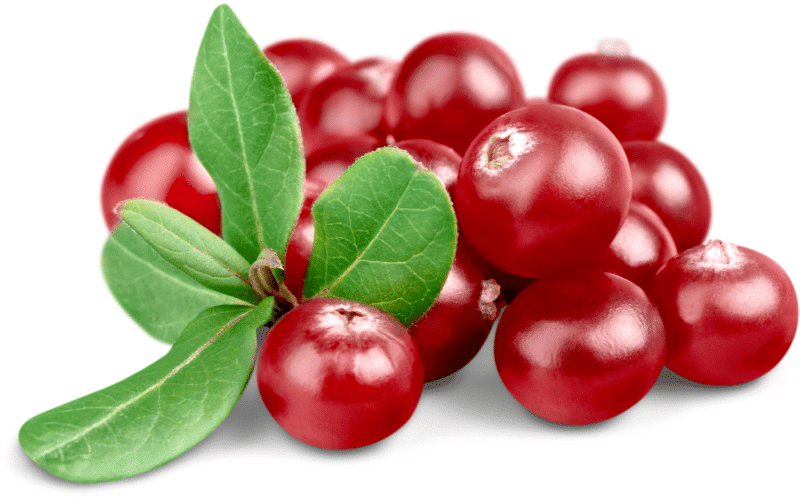 Cranberries The Tangy, Kidney-Protective Superfruit