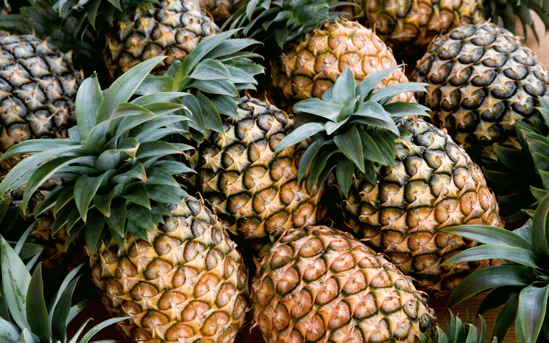 Pineapple A Sweet and Tangy Treat for Kidney Health