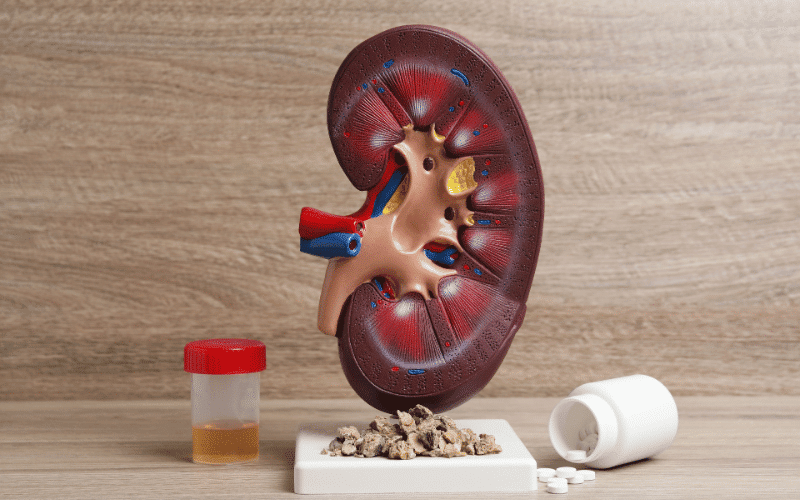 Kidney Problems Early Warning Signs of Amyloidosis Affecting the Kidneys