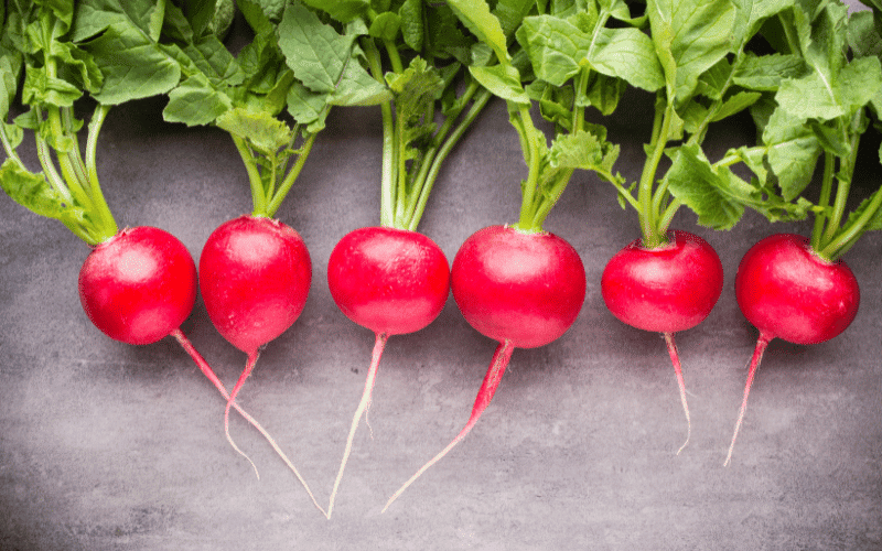 Radishes The Crunchy, Low-Potassium Vegetable for a Renal Diet