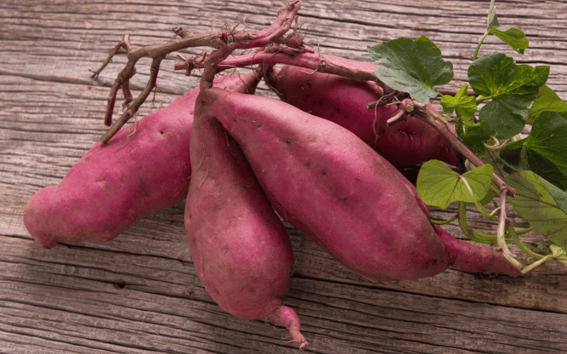 Root Vegetables The Nutrient-Dense and Versatile Magnesium-Rich Foods for Your Favorite Recipes