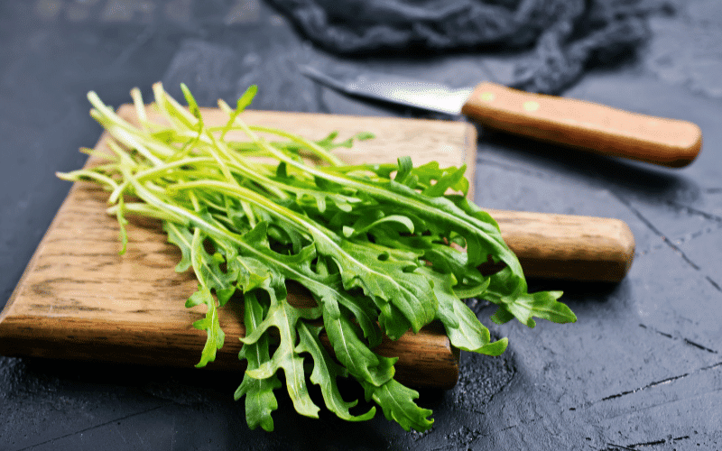 Arugula The Nutrient-Dense, Low-Potassium Leafy Green for Renal Diets