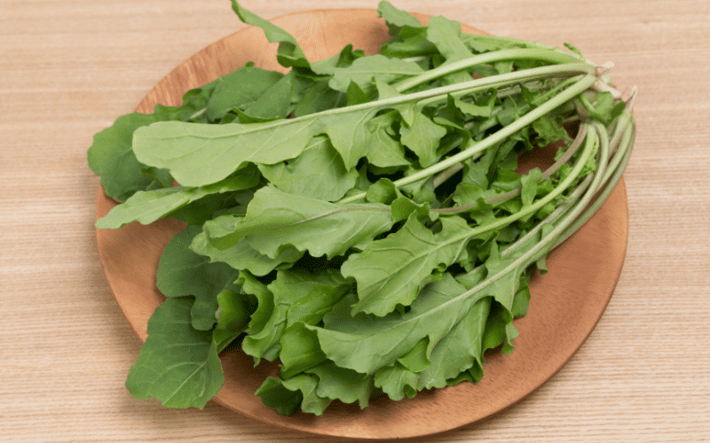 Arugula A Leafy Green Bursting with Nutrients for Kidney Health