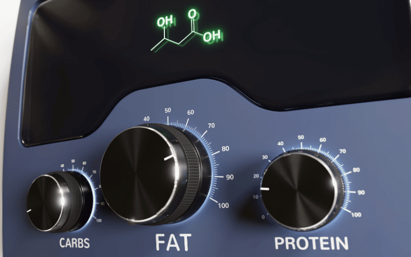 Balance Your Macronutrients Carbs, Protein, and Fats