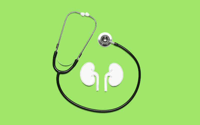 15 Best Foods For A Kidney Disease Diet Boost Your Health With These 15-best-foods-for-a-kidney-disease-diet-boost-your-health-with-these