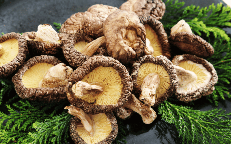 Shiitake Mushrooms A Savory and Nutrient-Packed Choice for Kidney Health