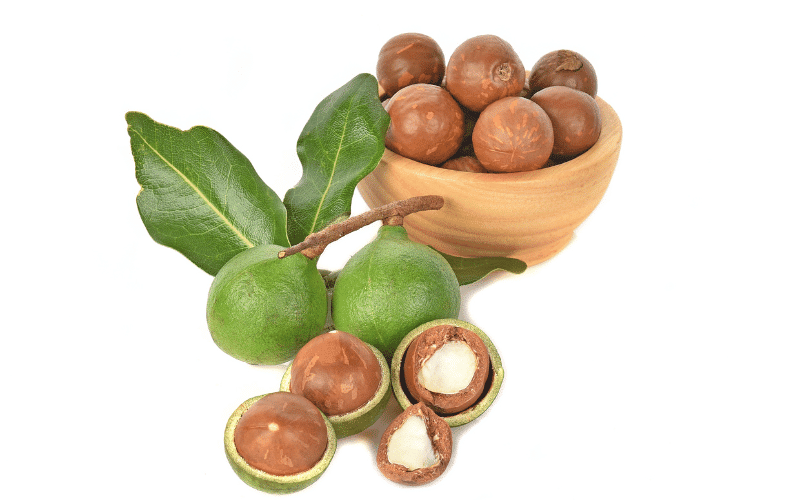 Macadamia Nuts The Low-Phosphorus, Kidney-Friendly Nut Option