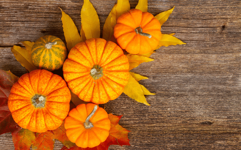 Pumpkin The Comforting Veggie for UC