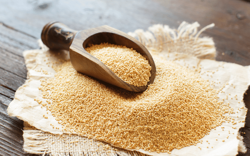 Pseudograins The Gluten-Free and Magnesium-Rich Alternatives to Traditional Grains for Your Health