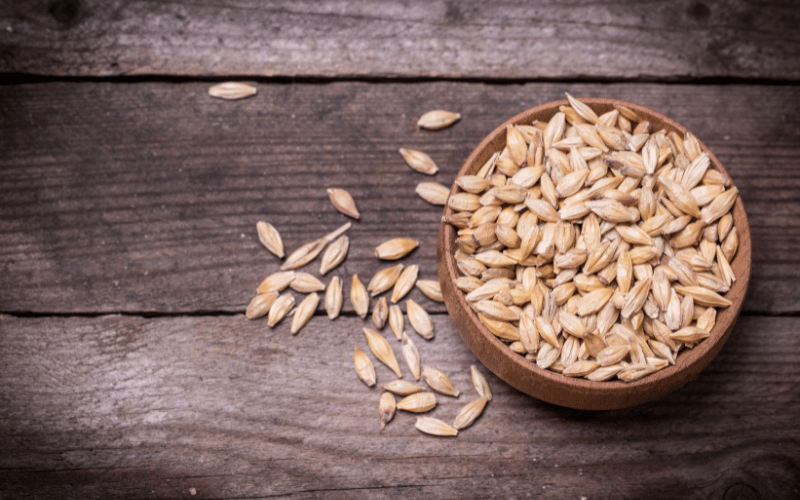 Barley A Nutrient-Packed Whole Grain for Kidney Wellness