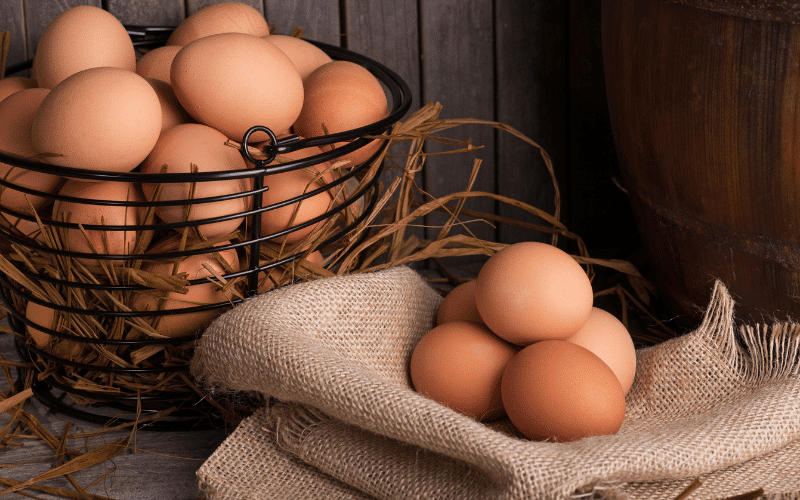 Eggs The Protein-Packed and Magnesium-Rich Foods for a Balanced Diet and Healthy Lifestyle