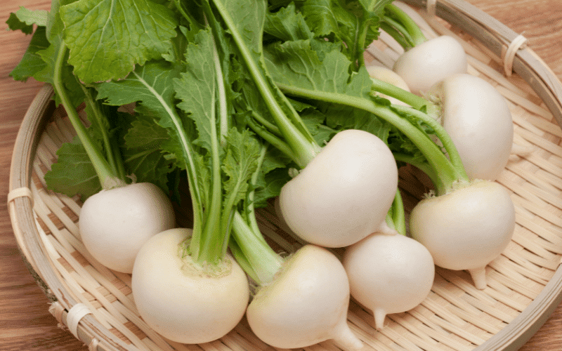 Turnips The Low-Potassium Root Vegetable for a Renal Diet