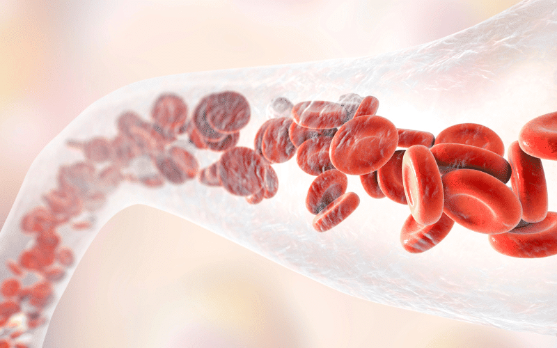 Aging and Blood Vessel Changes The Impact of Time