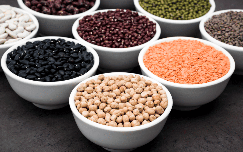 Beans and Legumes Protein-Rich but Problematic