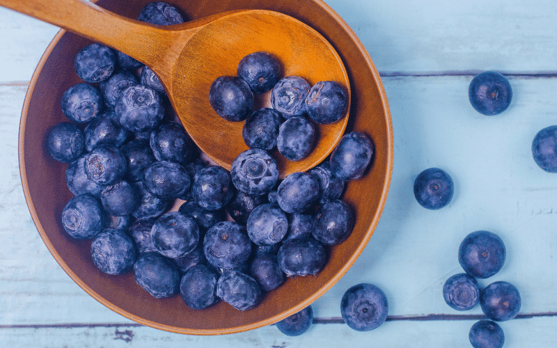 Blueberries The Tiny Fruit with Mighty Anti-Inflammatory Properties