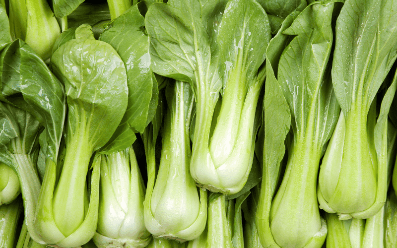 Bok Choy A Nutrient-Dense Leafy Green