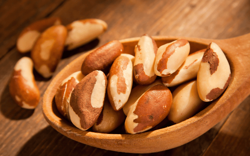 Brazil Nuts A Nutrient-Rich Snack for Hormone Health