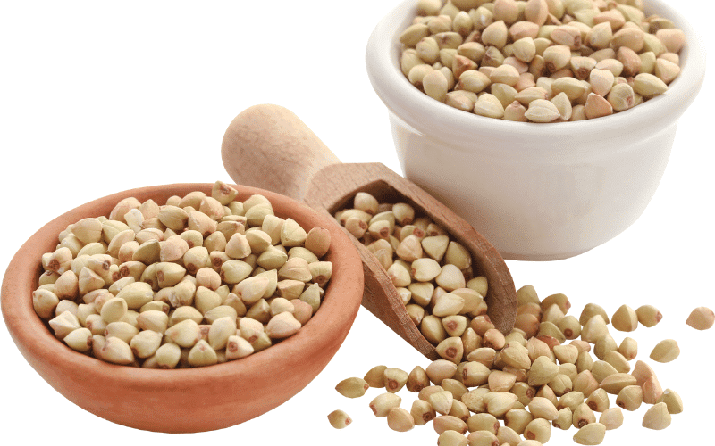 Buckwheat A Low-Phosphorus Alternative to Wheat