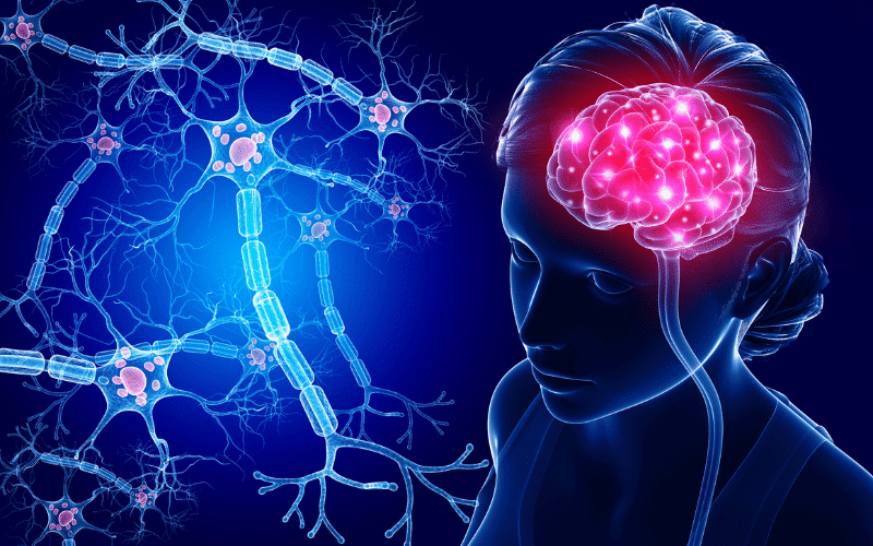 Central Sensitization The Brain's Role in Fibromyalgia Pain