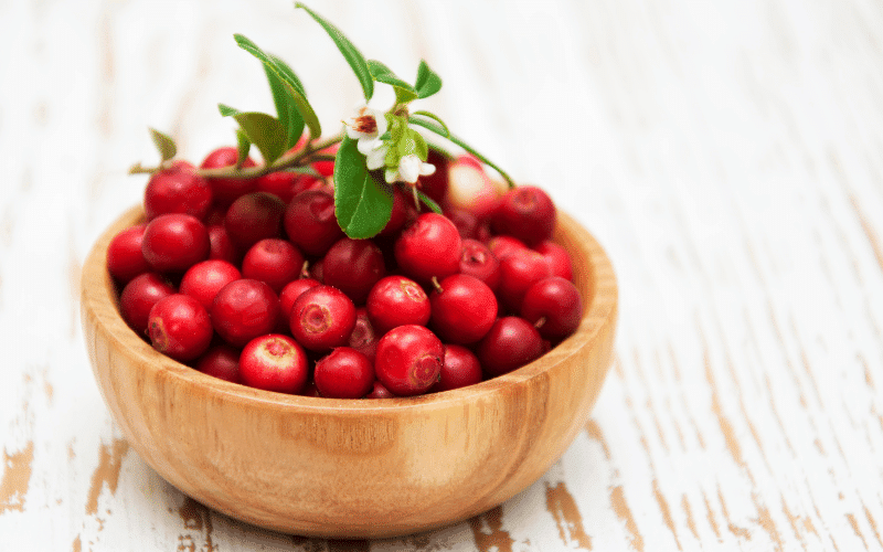 Cranberries A Low-Potassium, Antioxidant-Rich Fruit