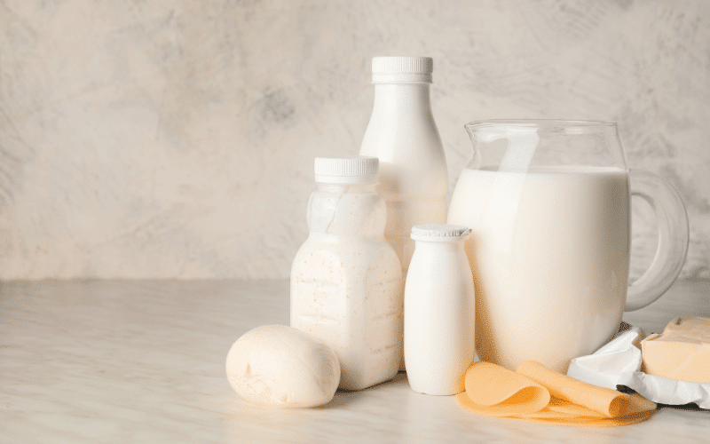 Dairy Products The Calcium Conundrum and Kidney Health