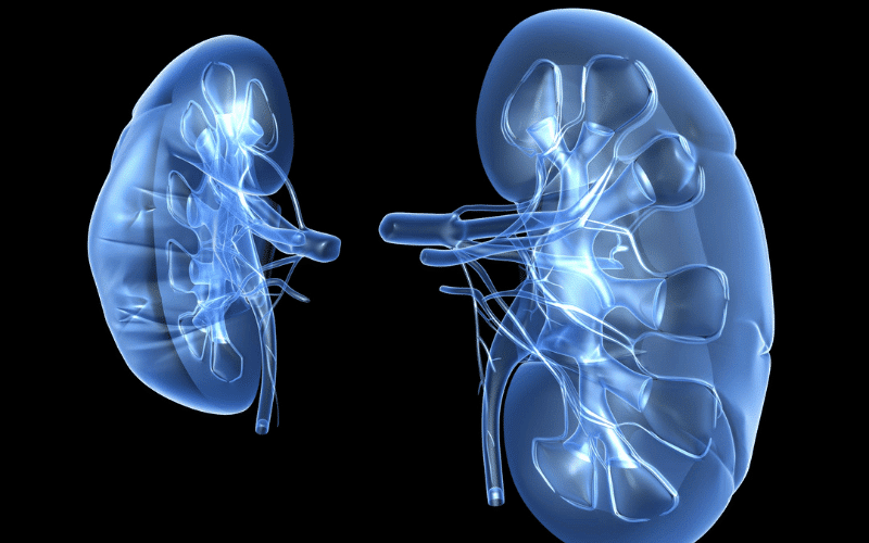 Diabetic Nephropathy