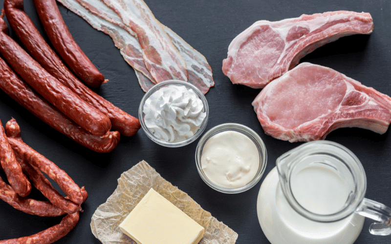 Foods High in Saturated Fats The Fatty Culprits That Can Harm Your Kidneys