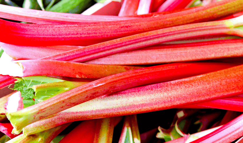 Foods that Cause Kidney Stones: Rhubarb