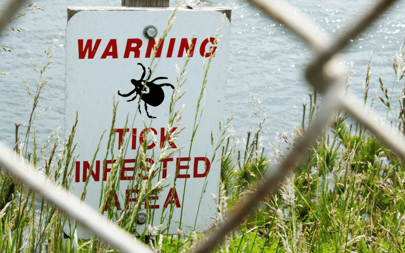 Frequently Asked Questions about Lyme Disease Symptoms