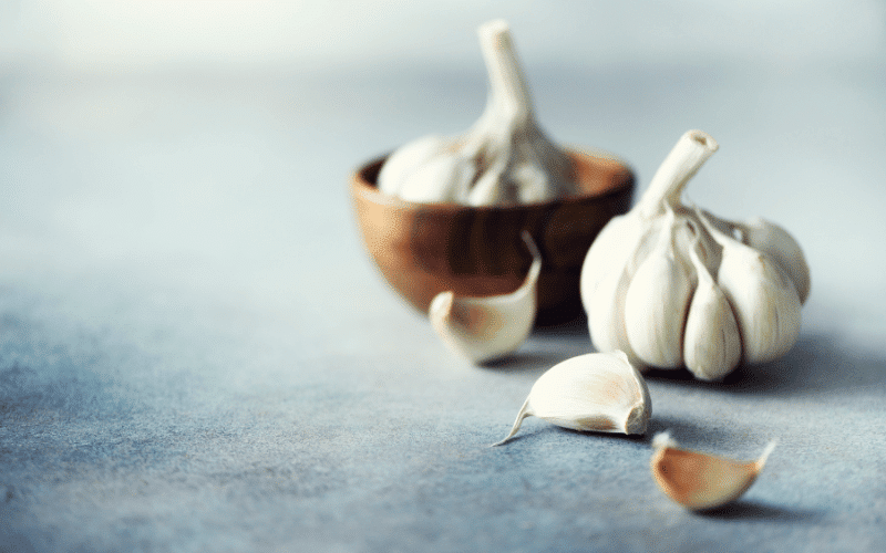 Garlic A Flavorful, Kidney-Friendly Spice