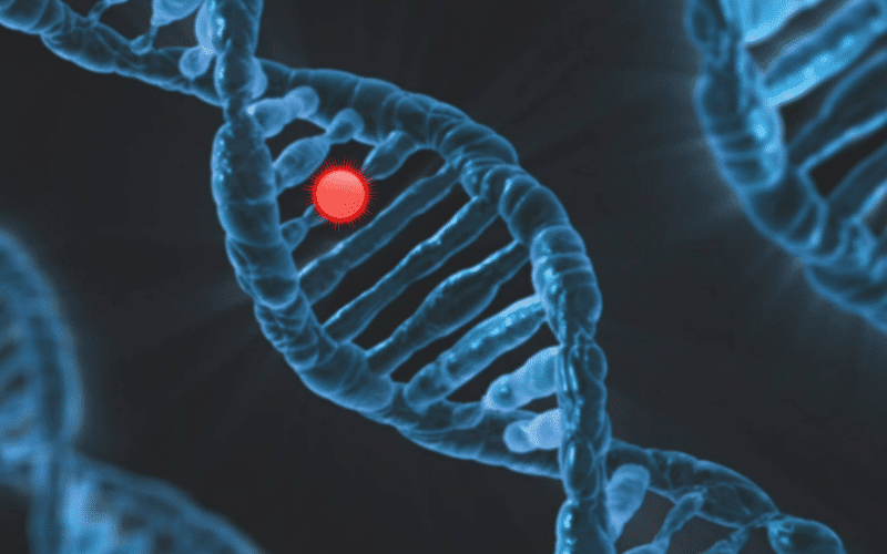 Genetic Factors A Family Connection to Kidney Infections